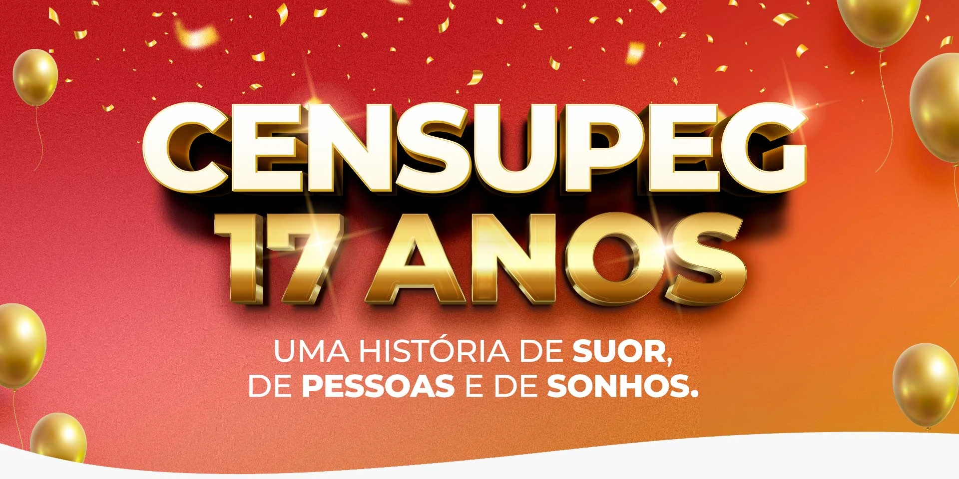 Banner de 17 anos do CENSUPEG.