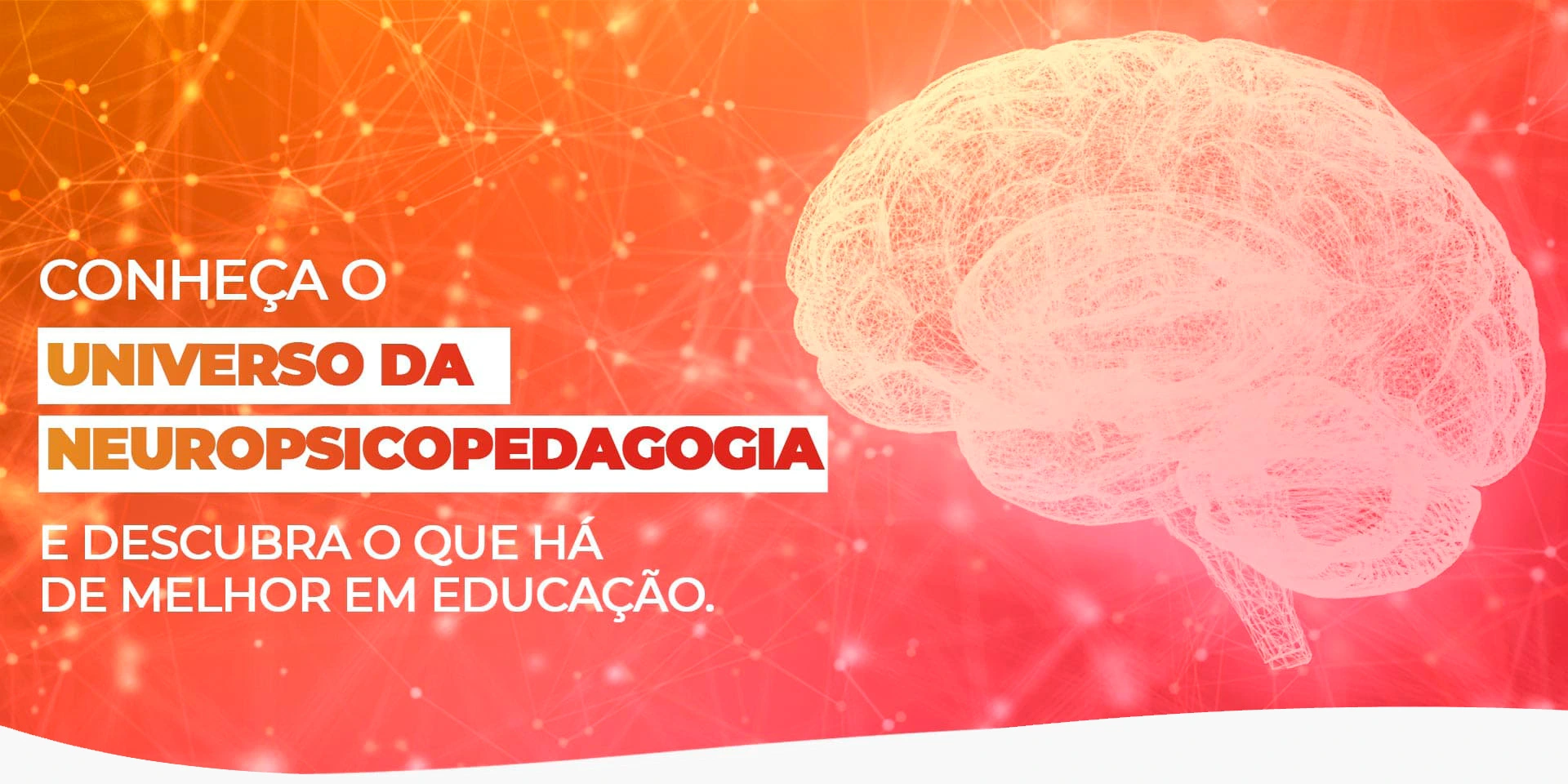 Banner, ao lado esquerdo : Conheça o universo da neuropsicopedagogia e descubra o que há de melhor em educação, lado direito a imagem de um cérebro.