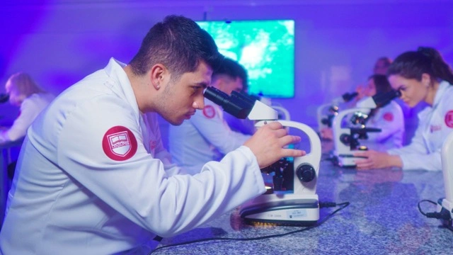 Mesa digital interativa com esqueleto em exibição.