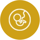Ícone