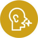 Ícone